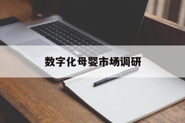 南充市数字化母婴市场调研(数字化母婴市场调研报告)