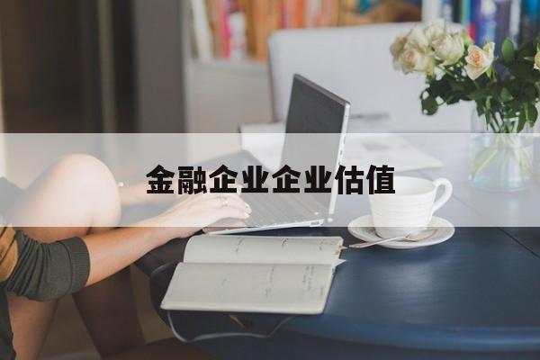 南充市金融企业企业估值(最新企业估值怎么填)